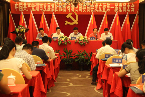 中共完美平台-完美（中国）一站式服务平台集团股份有限公司委员会成立大会暨公司第一届党员代表大会胜利召开