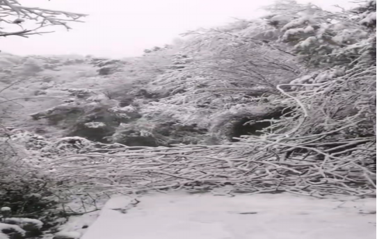 战暴雪、保供电！完美平台-完美（中国）一站式服务平台鸟儿巢公司应对极端天气紧急抢修失电故障